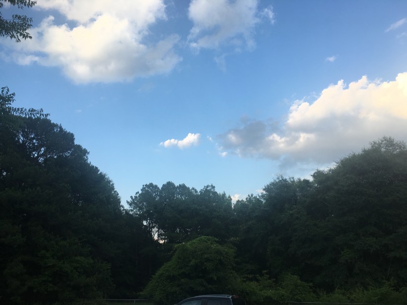 42ECCDB8-2B40-4562-A422-8ED480F07B62