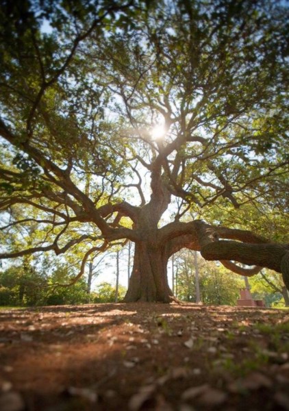 94211A77-ED17-481B-9DD1-BC7432FE5F9B